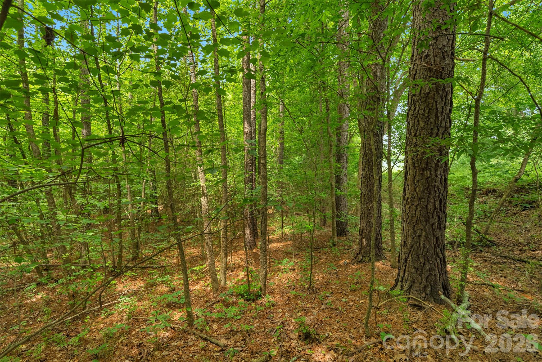 0 Lucy Short Cut Road, Unit 3 Marshville, NC 28103 - Photo 25 of 30