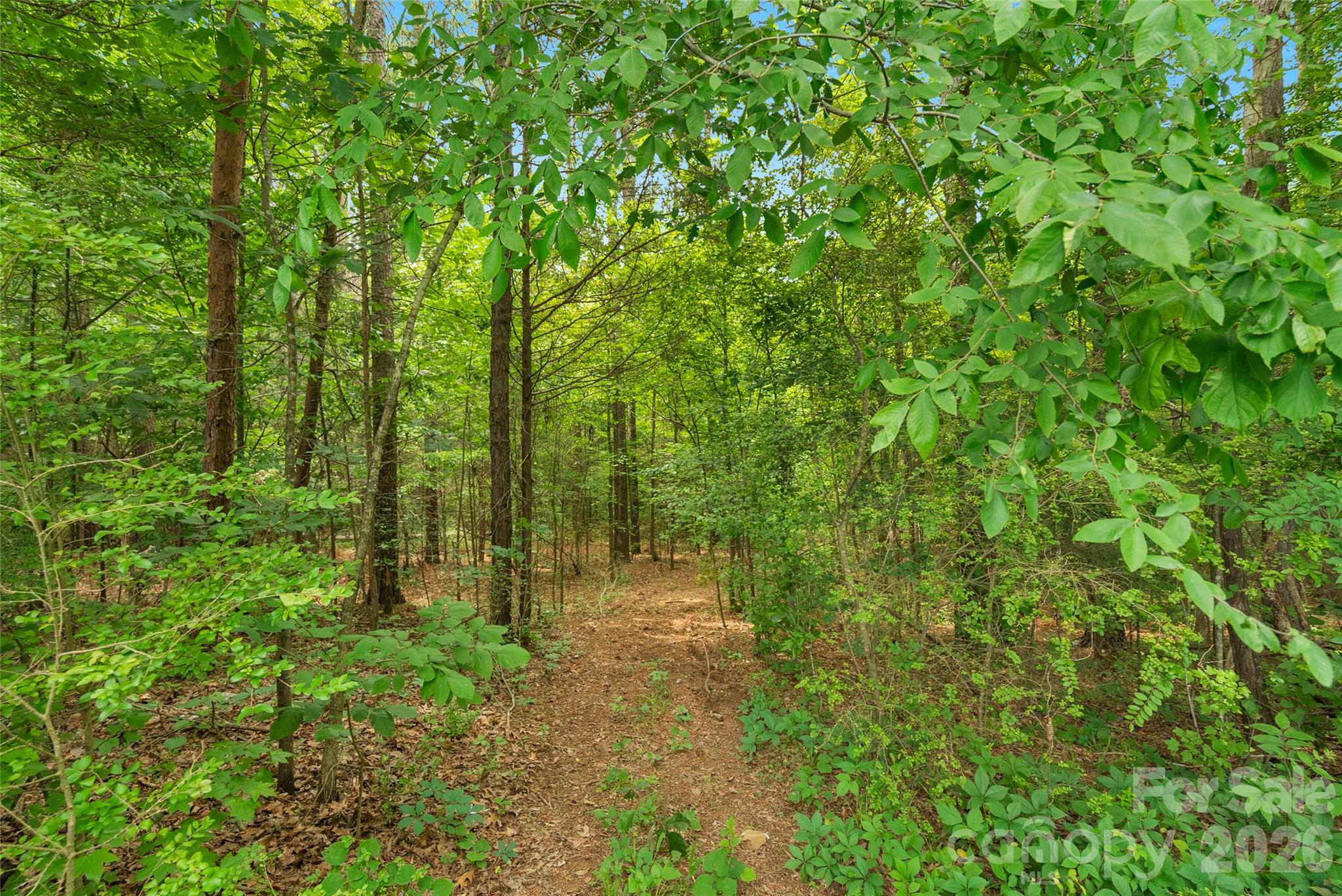 0 Lucy Short Cut Road, Unit 3 Marshville, NC 28103 - Photo 27 of 30