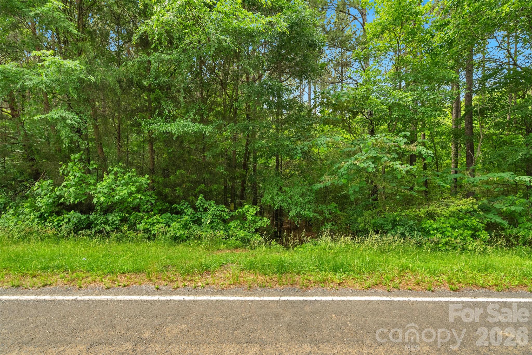 0 Lucy Short Cut Road, Unit 3 Marshville, NC 28103 - Photo 28 of 30