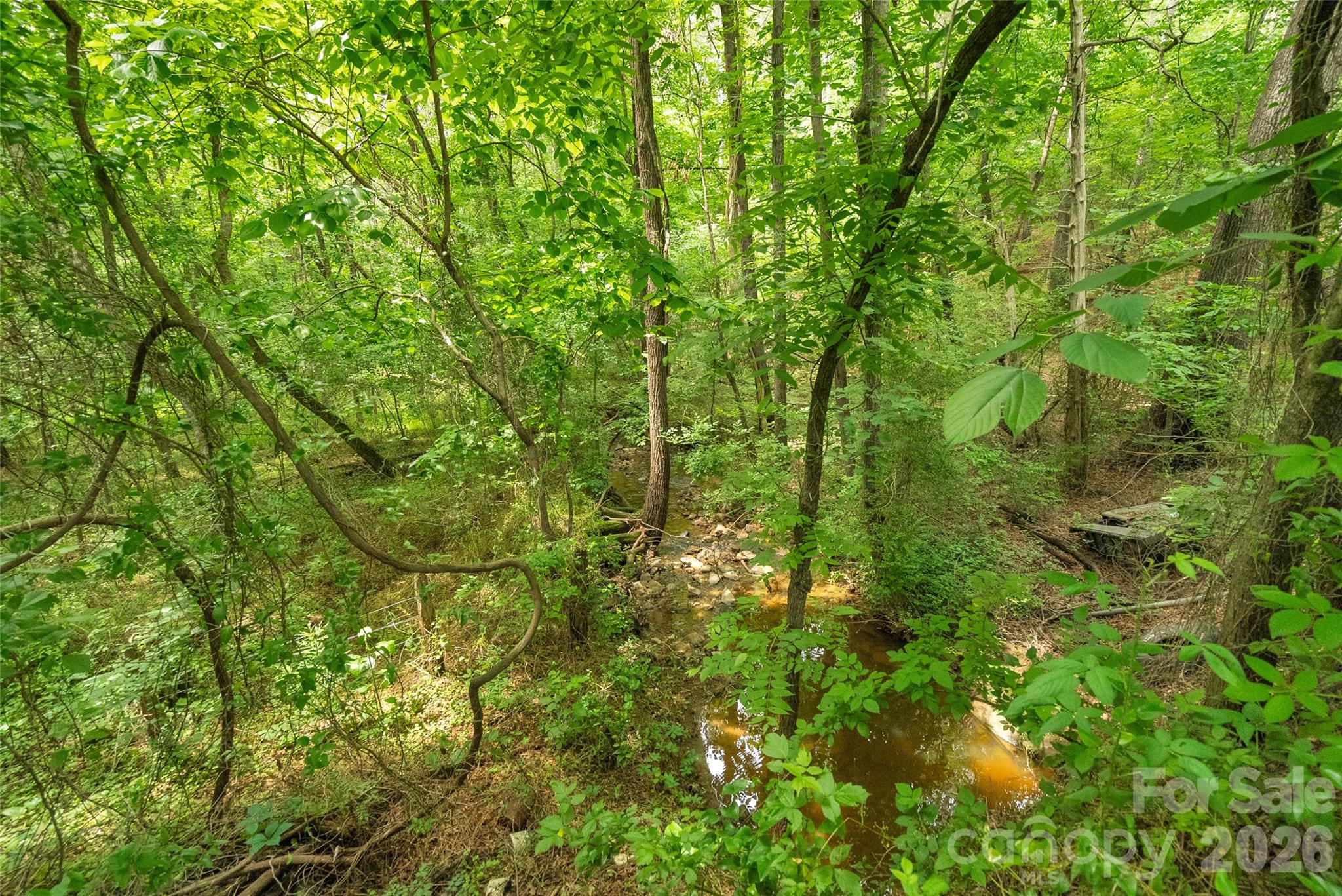 0 Lucy Short Cut Road, Unit 3 Marshville, NC 28103 - Photo 29 of 30