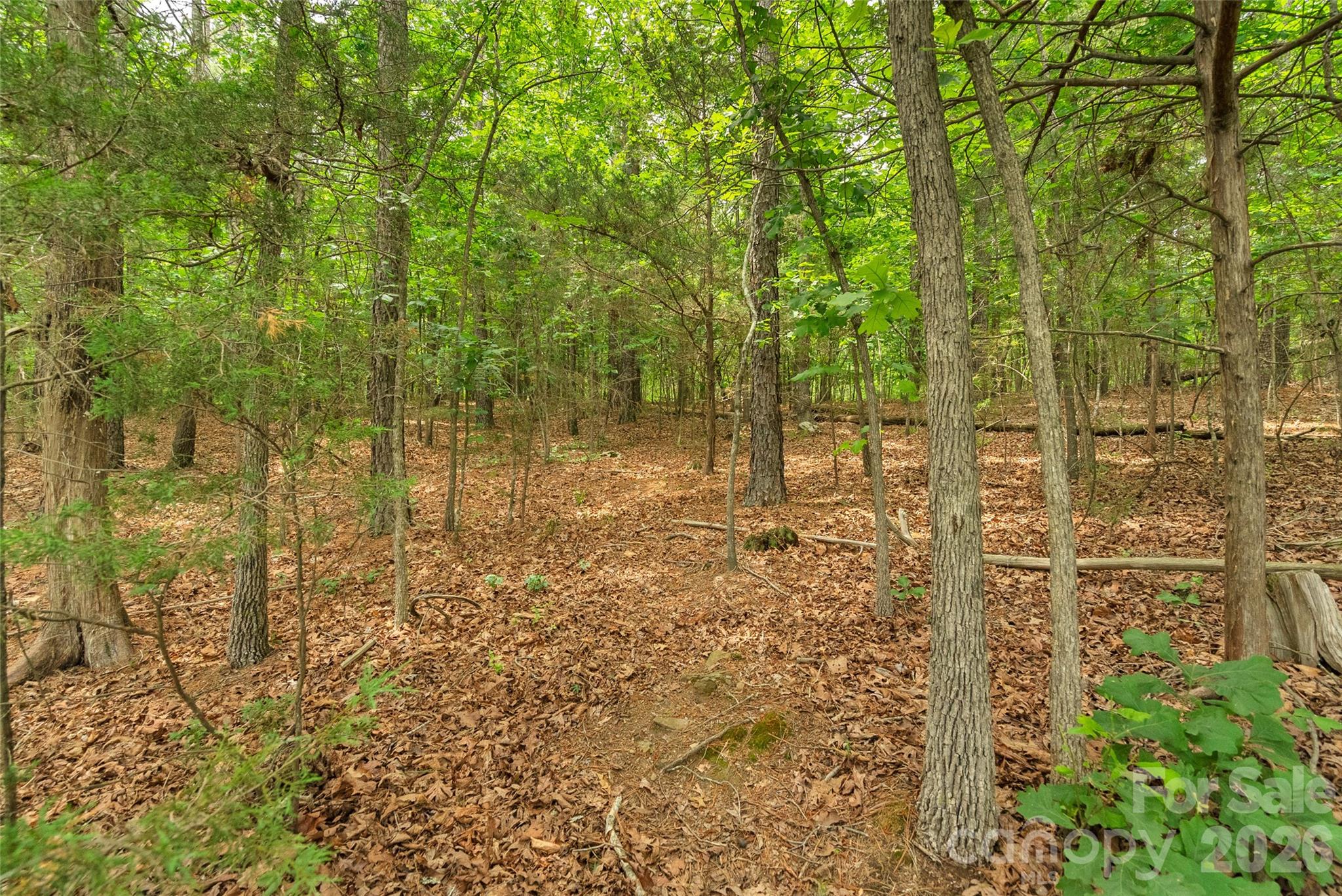0 Lucy Short Cut Road, Unit 3 Marshville, NC 28103 - Photo 30 of 30