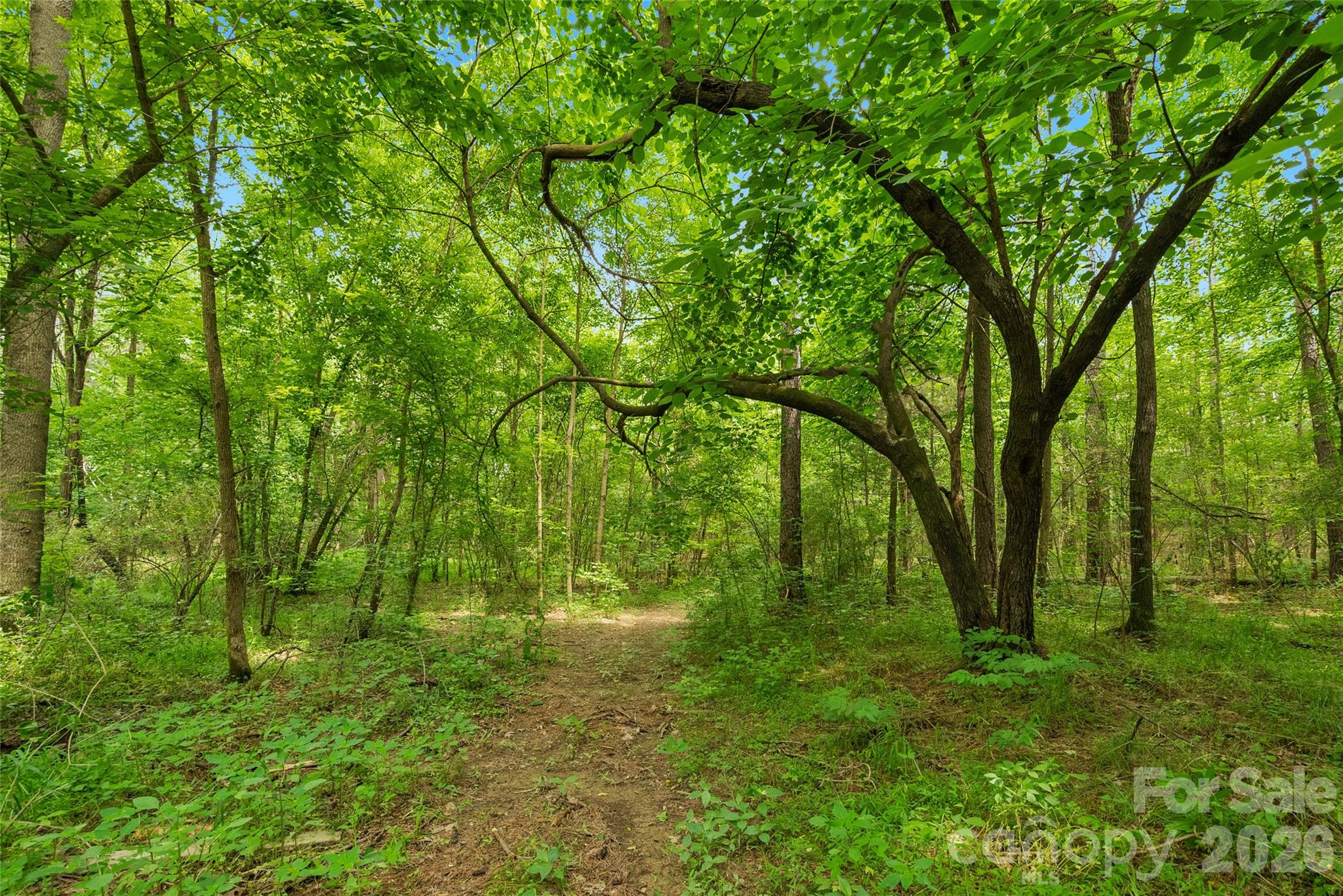 0 Lucy Short Cut Road, Unit 3 Marshville, NC 28103 - Photo 3 of 30