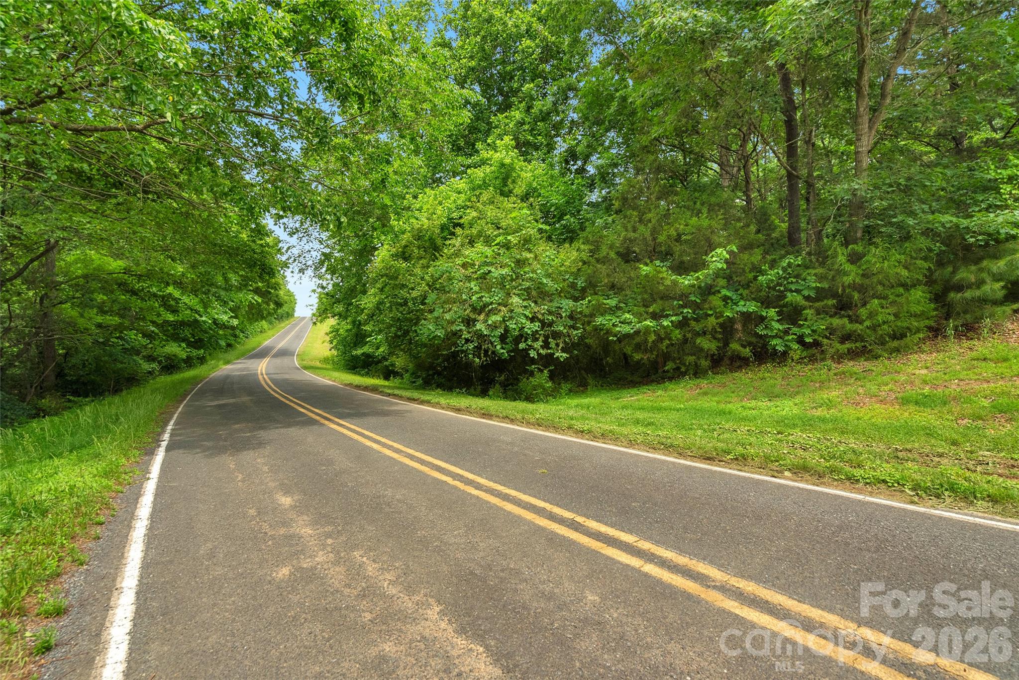 0 Lucy Short Cut Road, Unit 3 Marshville, NC 28103 - Photo 4 of 30