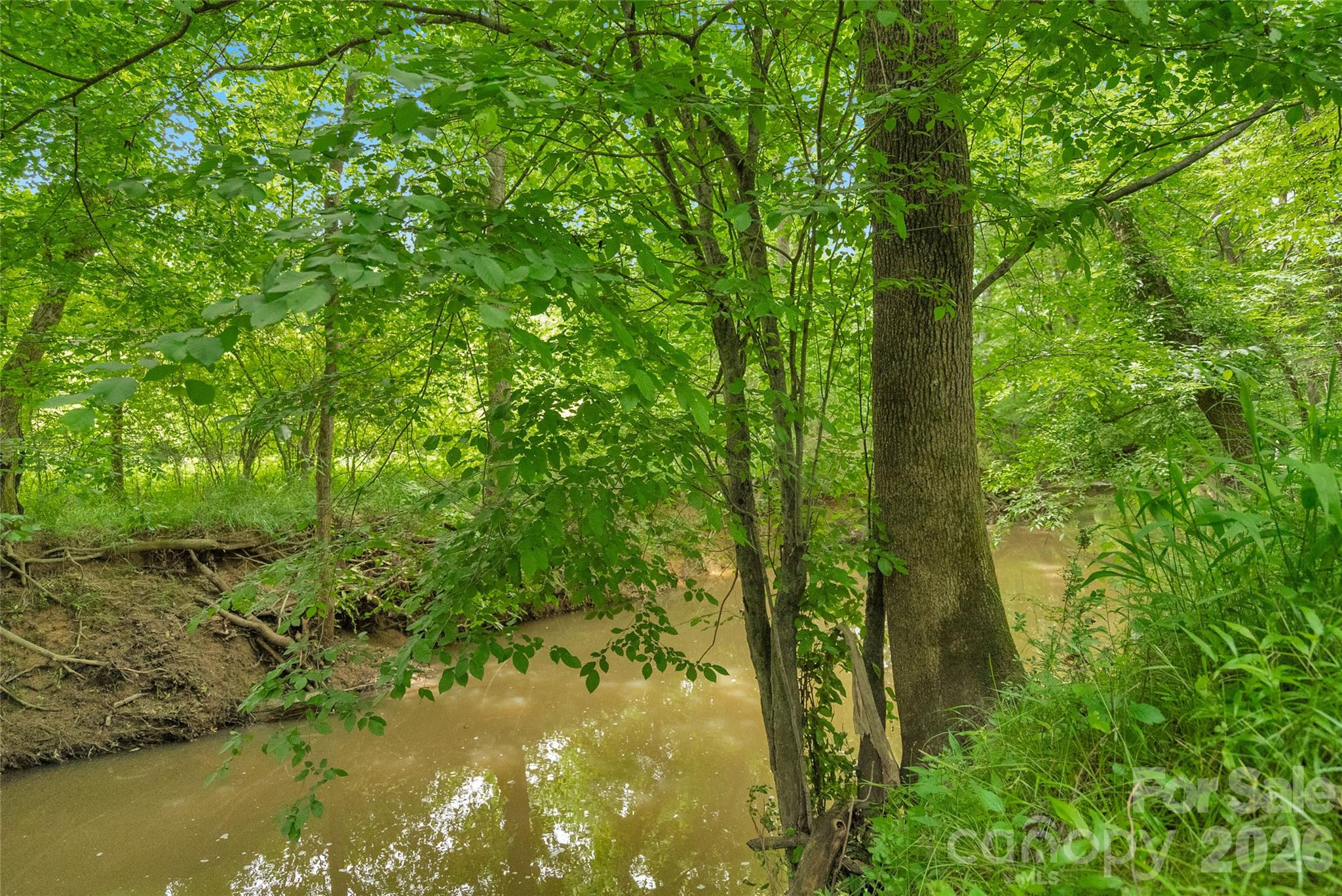 0 Lucy Short Cut Road, Unit 3 Marshville, NC 28103 - Photo 8 of 30