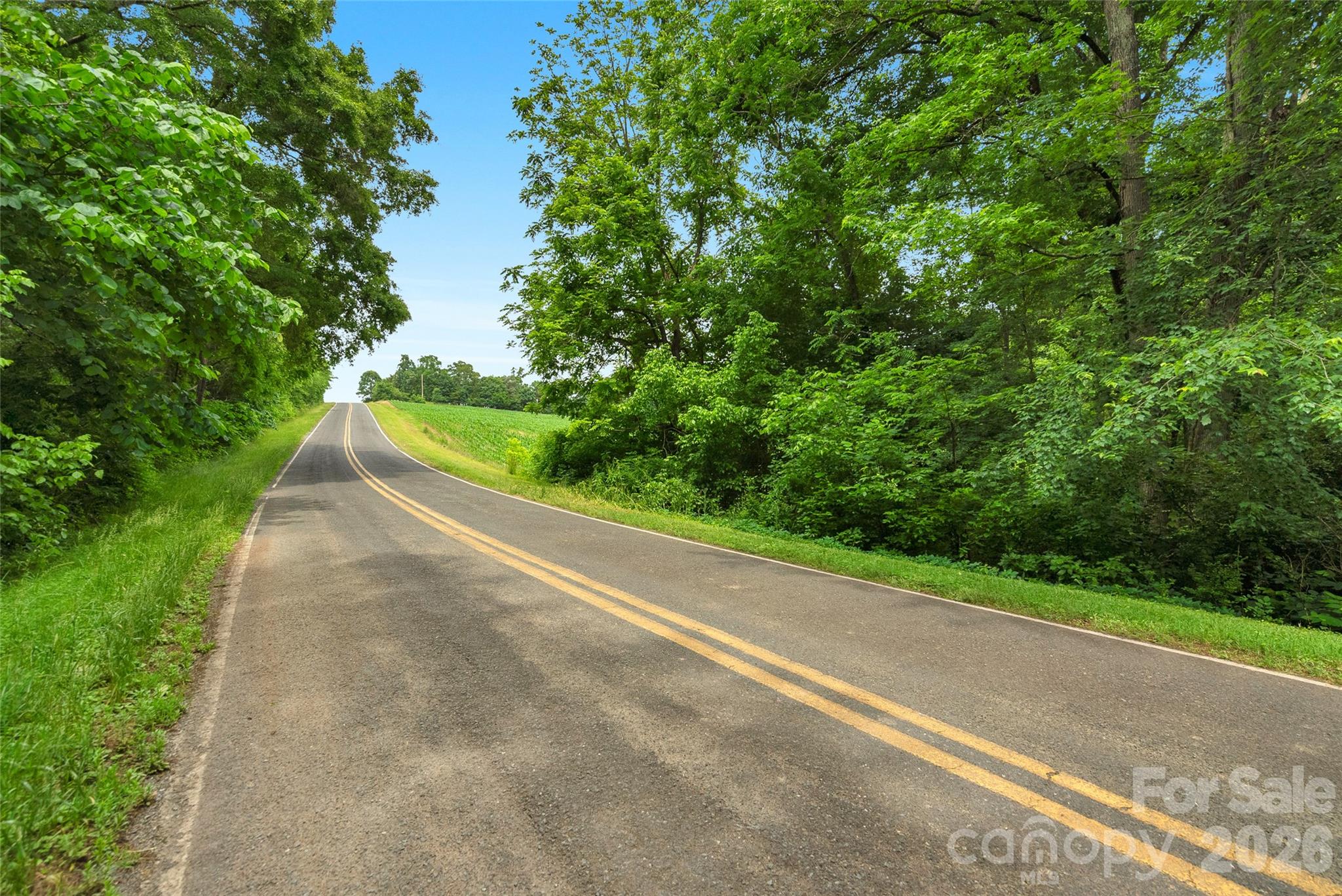 0 Lucy Short Cut Road, Unit 3 Marshville, NC 28103 - Photo 10 of 30