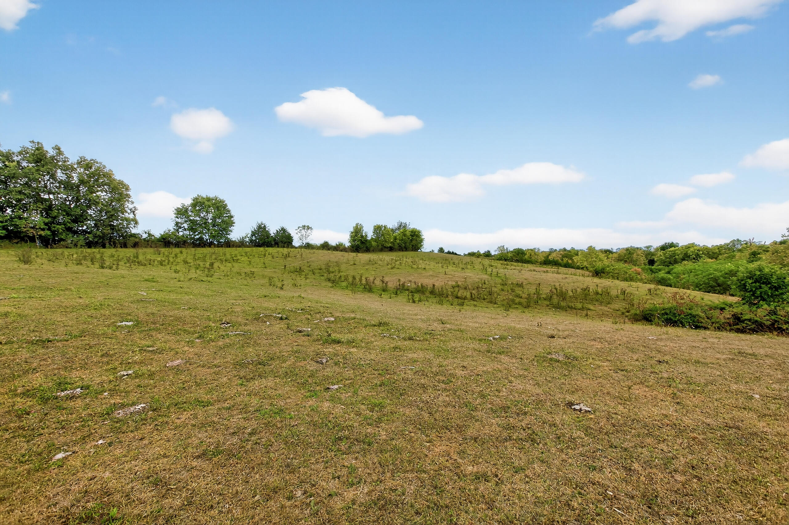 Tract A Goshen Road Stanford, KY 40484 - Photo 24 of 30 Pasture Field