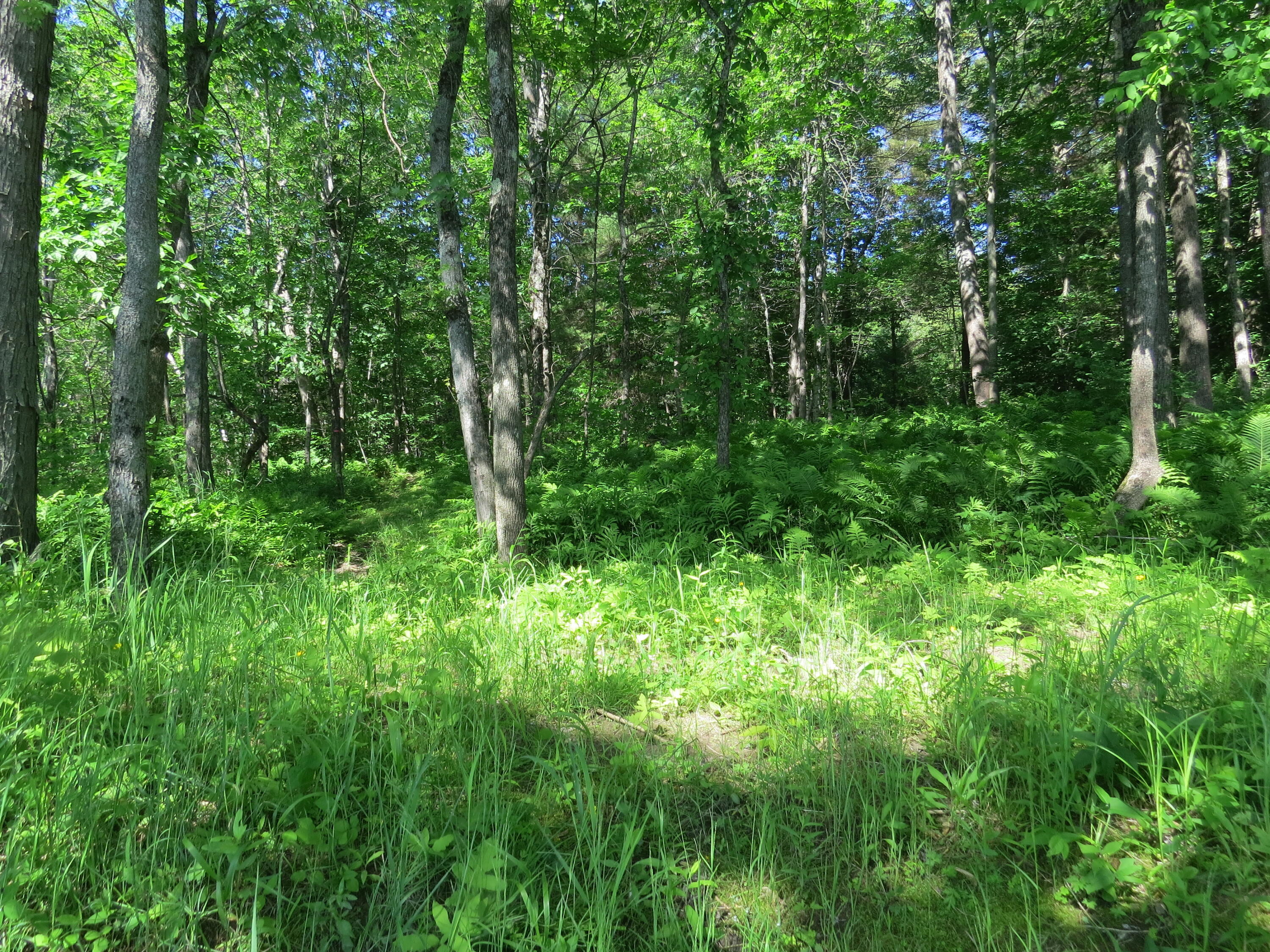 154 River Road Benton, ME 04901 - Photo 22 of 23 IMG_0031
