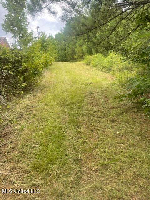 Jamison Road Clinton, MS 39056 - Photo 5 of 8 Bettie Jamison Road Property5