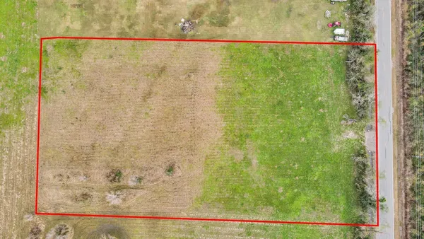 a view of swimming pool with a yard and large tree