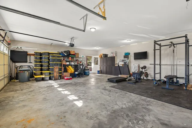 a view of a forest filled with trees