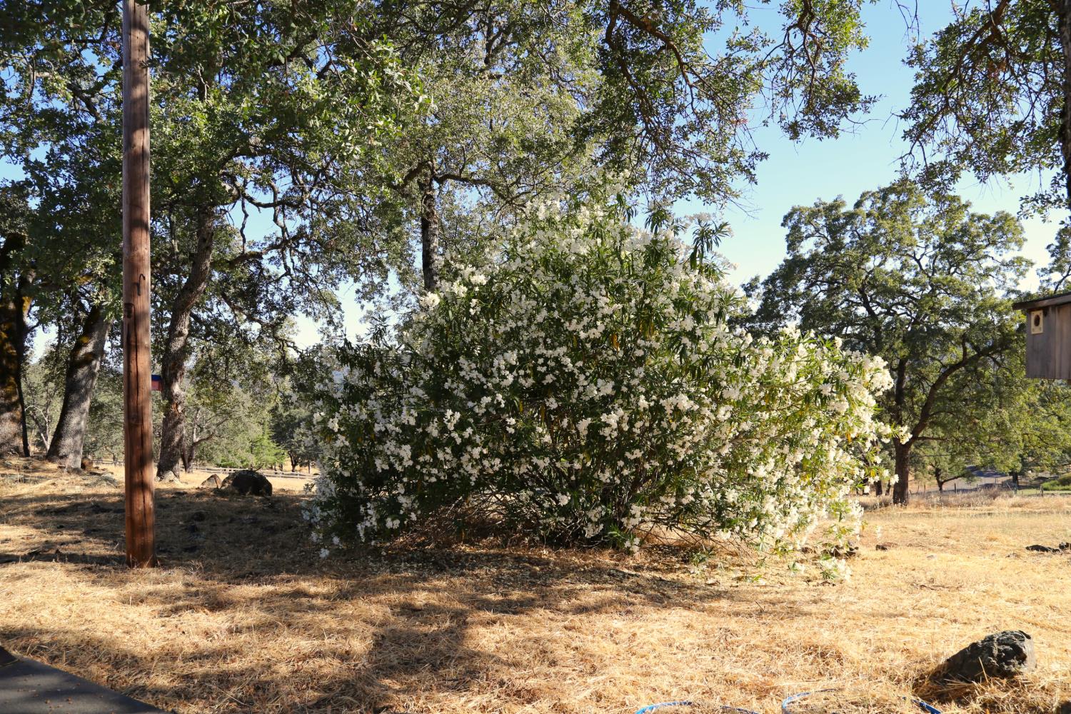 3791 Luneman Road Placerville, CA 95667 - Photo 61 of 66