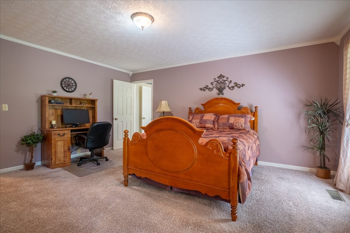 256 Ramah Road Leoma, TN 38468 - Photo 24 of 42