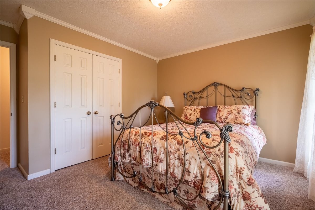 256 Ramah Road Leoma, TN 38468 - Photo 28 of 42