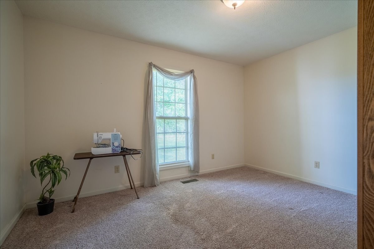 256 Ramah Road Leoma, TN 38468 - Photo 32 of 42