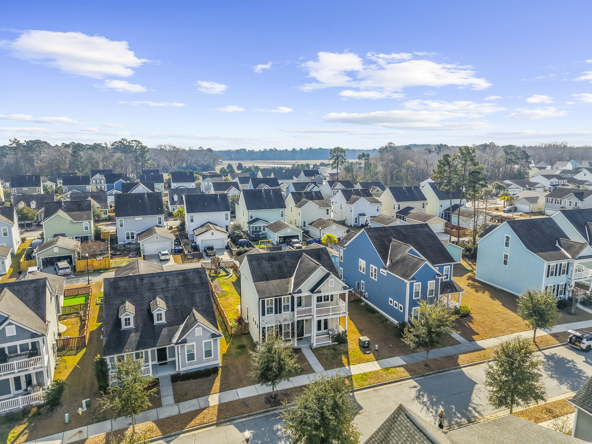 1718 Winfield Way Charleston, SC 29414 - Photo 4 of 73 4-web-or-mls-DJI_20260203103824_0633_D