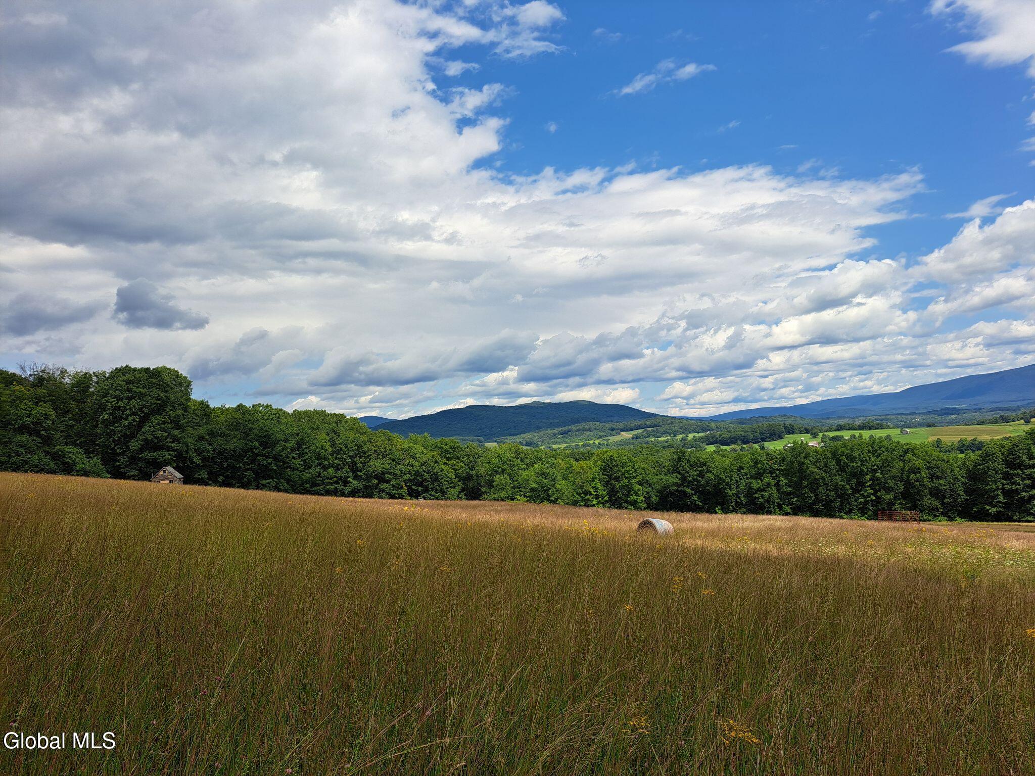9.1 State Line Road White Creek, NY 12057 - Photo 63 of 72 64 Pasture and Cabin