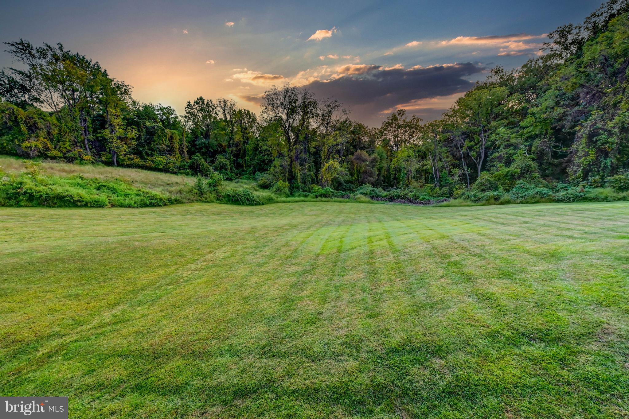 14412 Cuba Road Cockeysville, MD 21030 - Photo 18 of 35 a view of a big yard with lots of green space