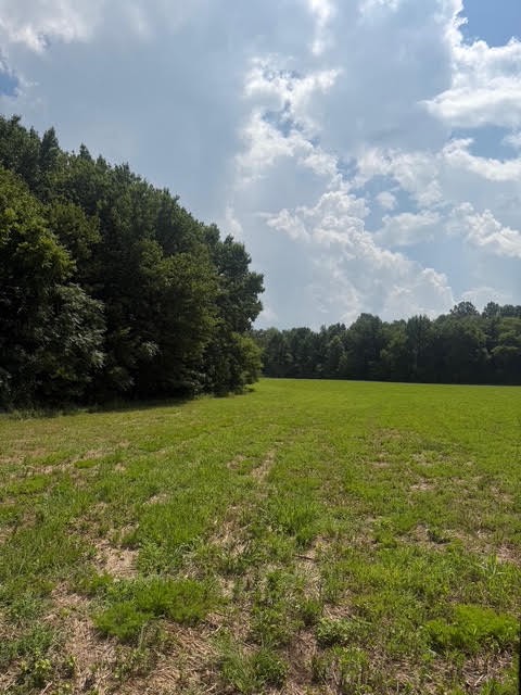 0 Friendship Road Cross Plains, TN 37049 - Photo 2 of 8
