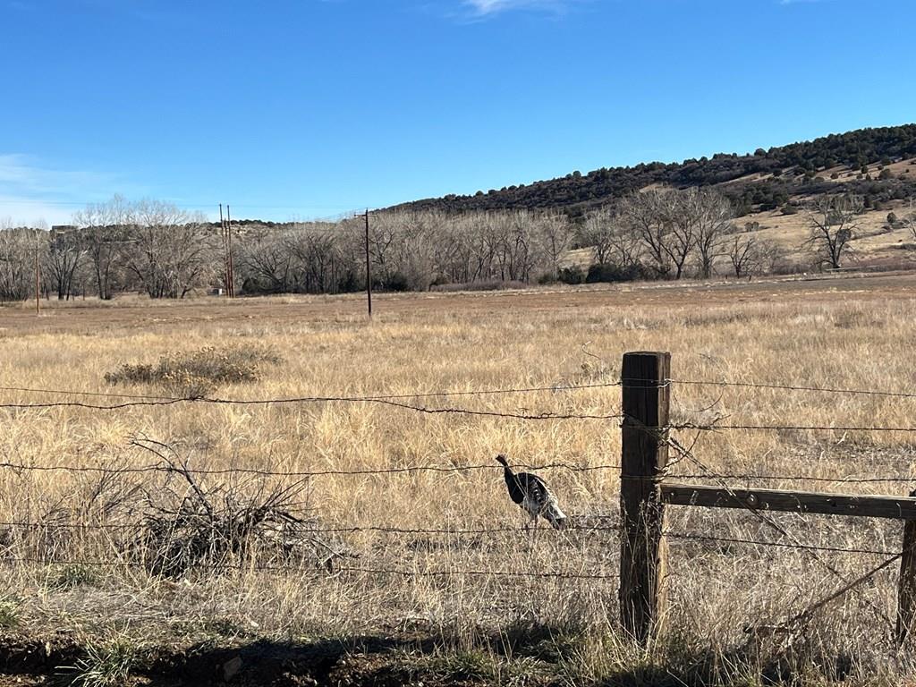 Lot 79 County Road 113 Rye, CO 81069 - Photo 13 of 16