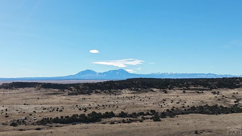 Lot 79 County Road 113 Rye, CO 81069 - Photo 3 of 16
