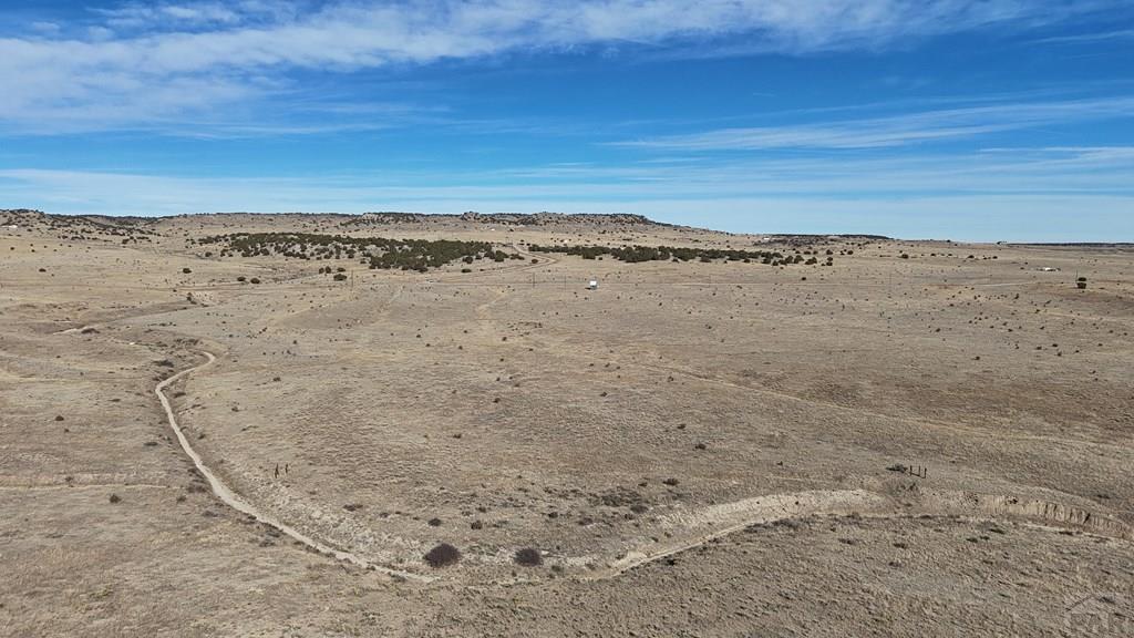 Lot 79 County Road 113 Rye, CO 81069 - Photo 4 of 16