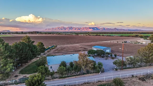a view of a field with an ocean and trees in the background