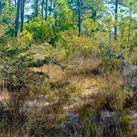 $170,000 | 1405 Evodia Court, St. George Island, FL 32328