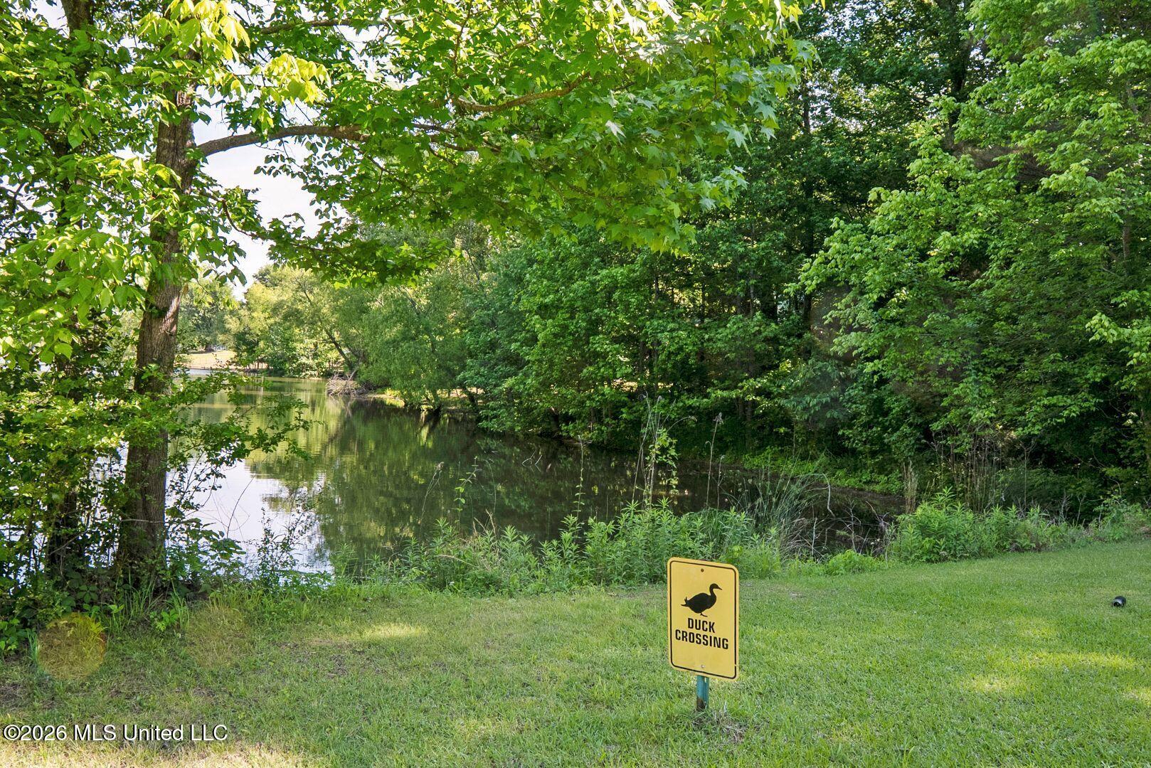 528 Arkabutla Dam Road Coldwater, MS 38618 - Photo 79 of 99 92-ARK_FINAL