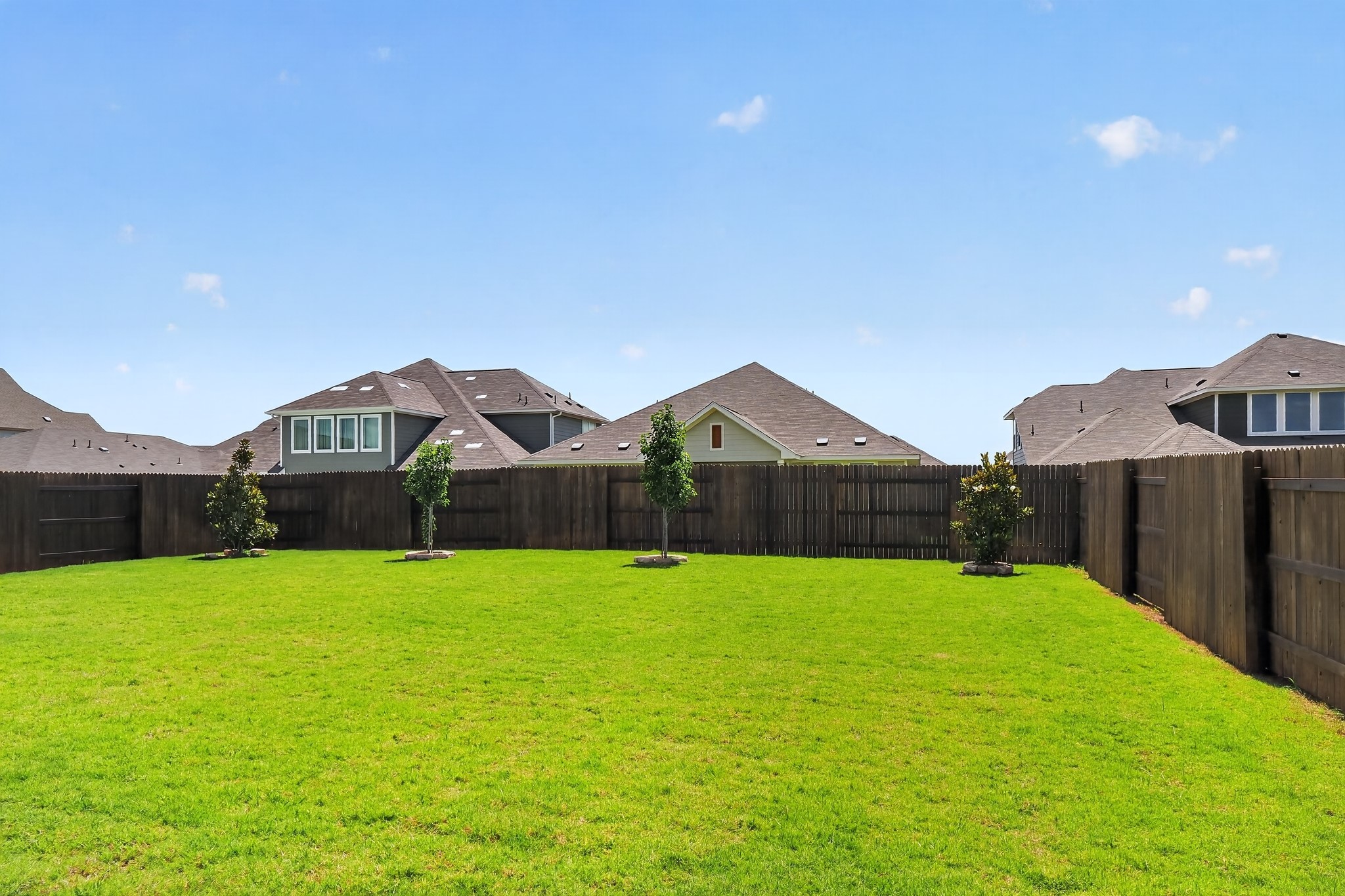114 Bosco Road Hutto, TX 78634 - Photo 37 of 39 A spacious backyard with vibrant green grass, fully fenced for privacy.