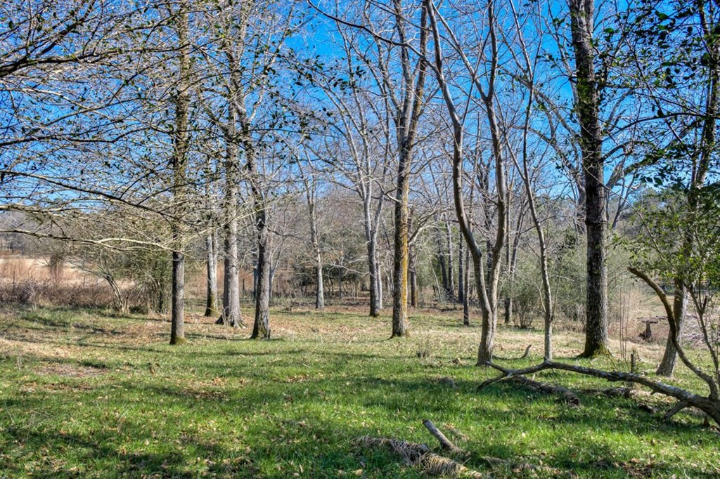Lot 7 Wire Road Aiken, SC 29801 - Photo 7 of 13