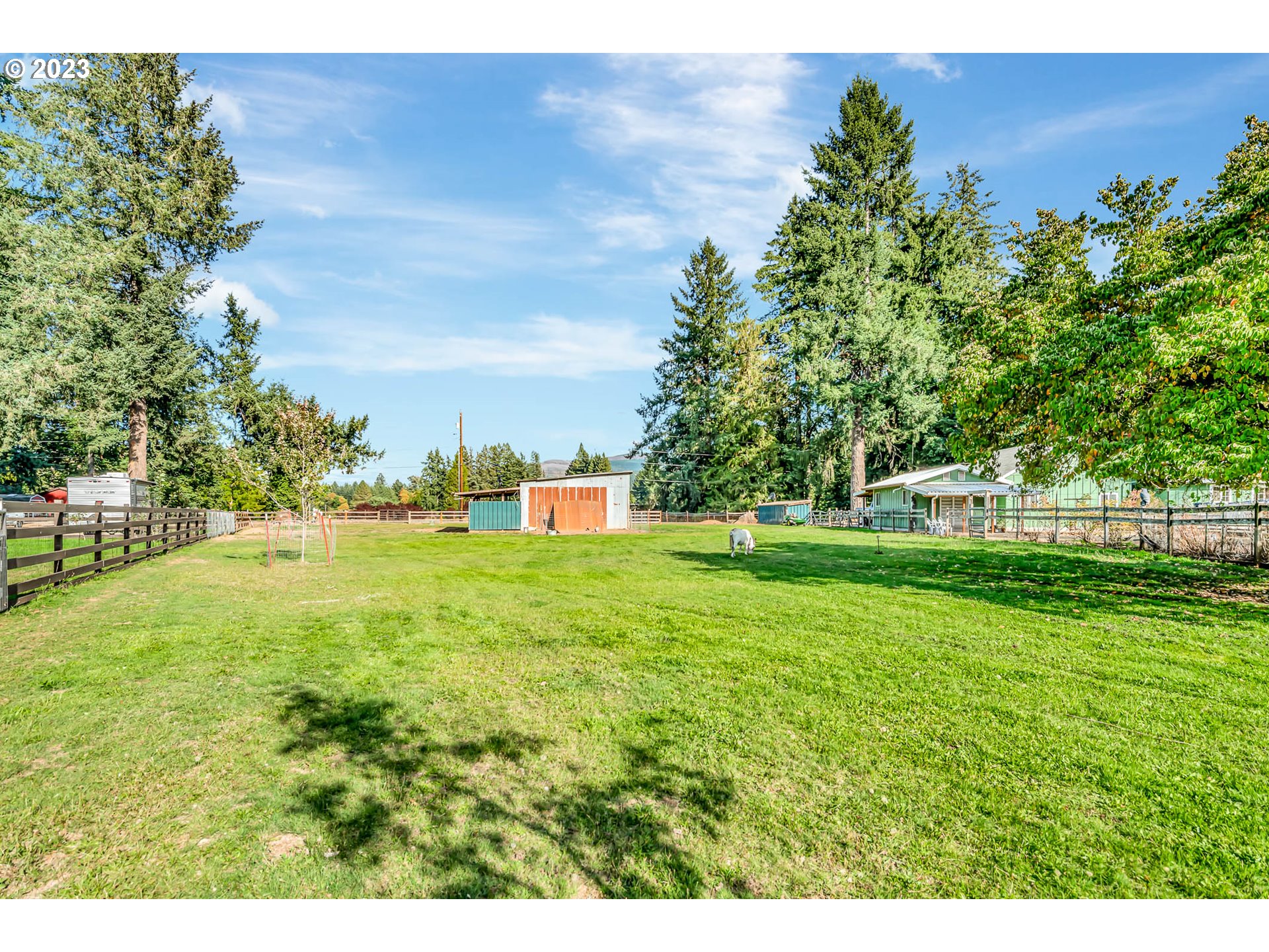 88750 Potter Lane Springfield, OR 97478 - Photo 3 of 43 a view of a park with large trees