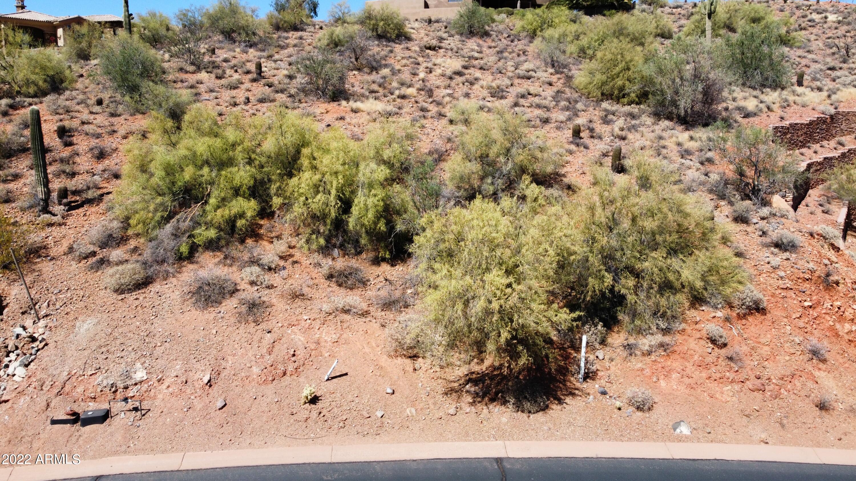 9817 Rock Ridge Trail, Unit 2 Fountain Hills, AZ 85268 - Photo 2 of 4 a view of a yard