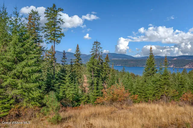 $550,000 | 9130 South Lahaina Road, Harrison, ID 83833