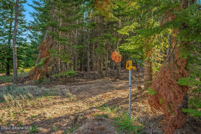 $550,000 | 9130 South Lahaina Road, Harrison, ID 83833