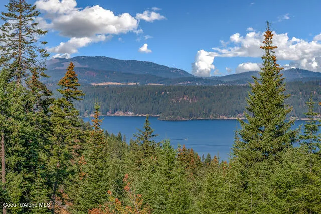 $550,000 | 9130 South Lahaina Road, Harrison, ID 83833