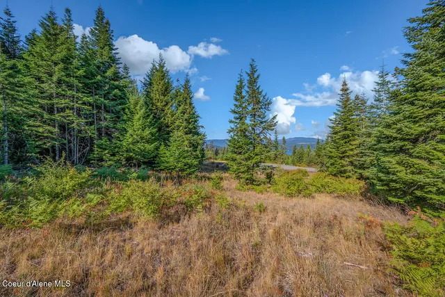 $550,000 | 9130 South Lahaina Road, Harrison, ID 83833
