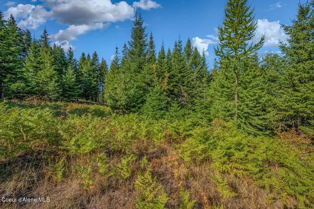 $550,000 | 9130 South Lahaina Road, Harrison, ID 83833