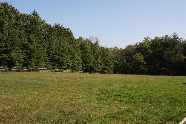 289 Hurricane Hill Road Mason, NH 03048 - Photo 7 of 30 a view of open field with trees