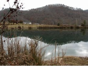 149 Price Road Rogersville, TN 37857 - Photo 3 of 24 Photo 3
