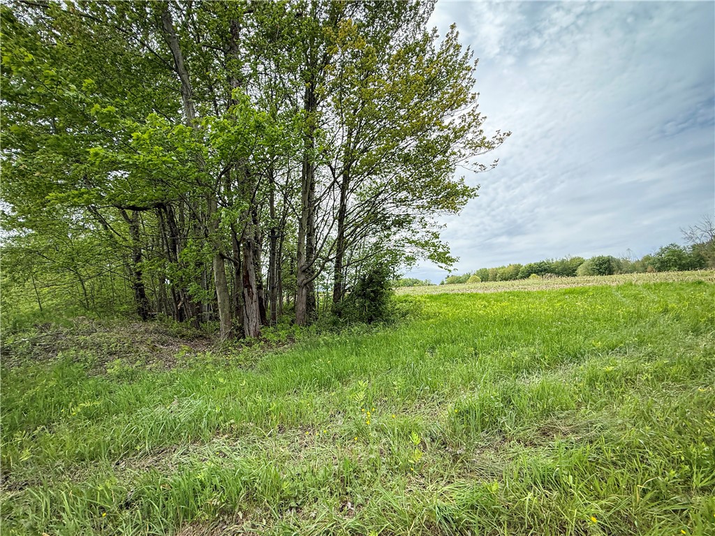 Gifford Road Hannibal, NY 13074 - Photo 16 of 50