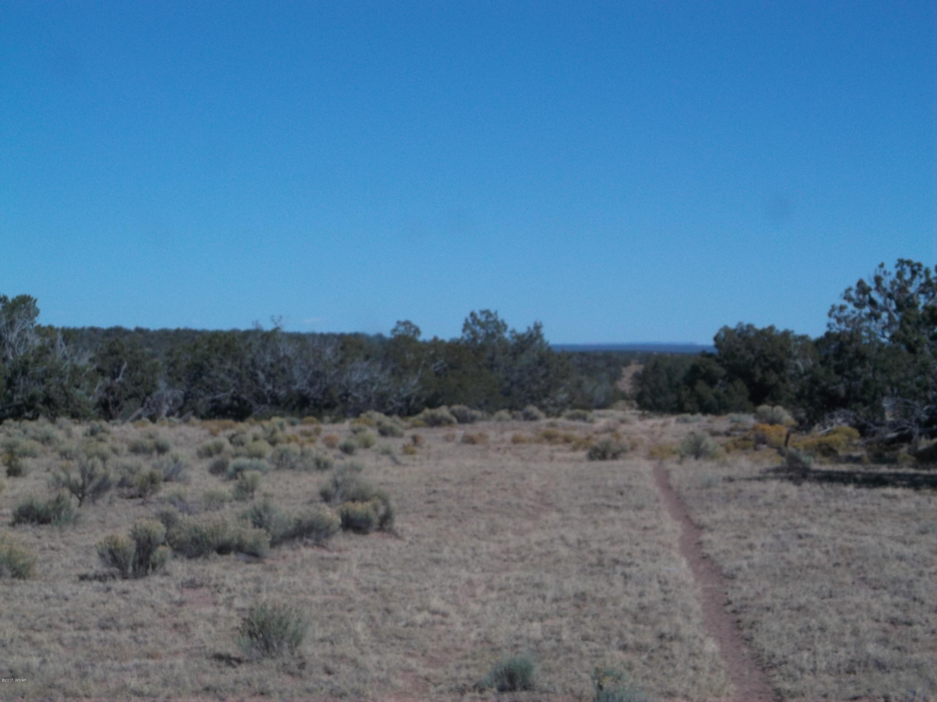 10 Ne4 Sw4 Sec 23 T17n R27e St. Johns, AZ 85936 - Photo 1 of 7 a view of a dry field with trees in background
