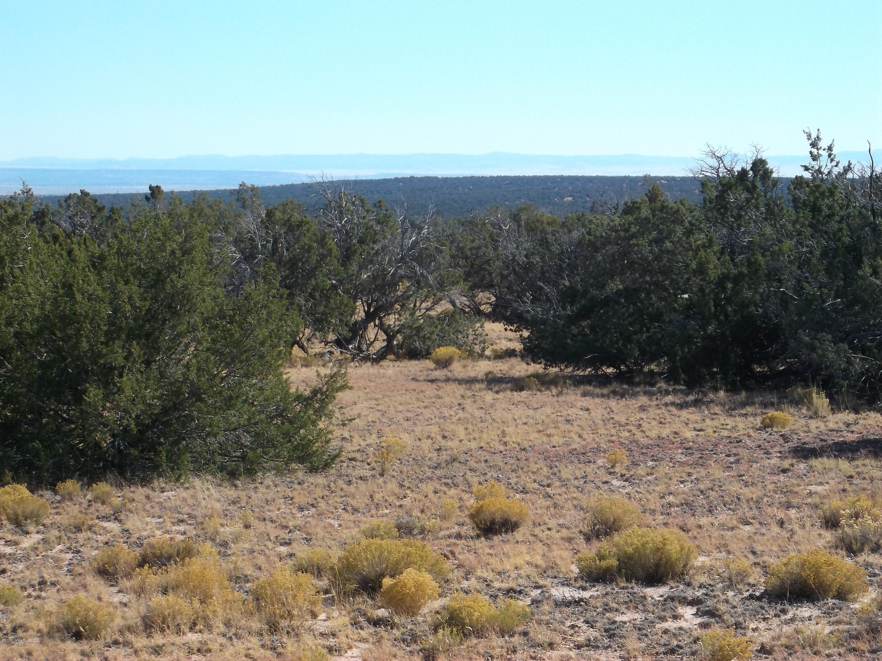 10 Ne4 Sw4 Sec 23 T17n R27e St. Johns, AZ 85936 - Photo 2 of 7 a view of a dry yard with trees