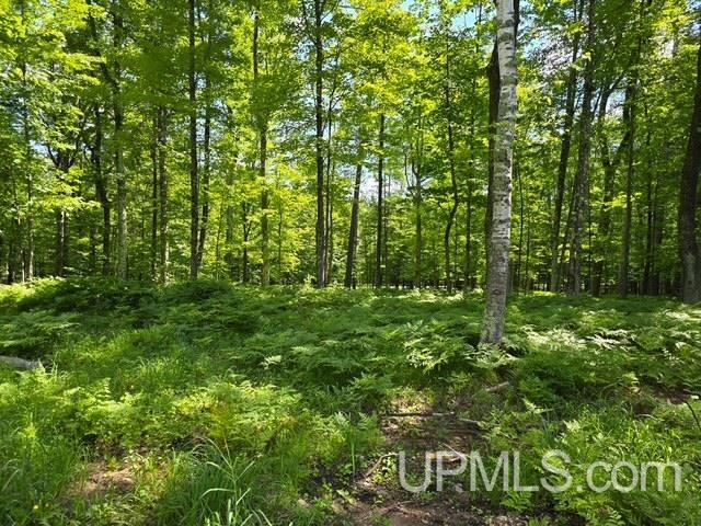 Tbd East Tbd E Bar D Ranch Road Iron Mountain, MI 49801 - Photo 2 of 3