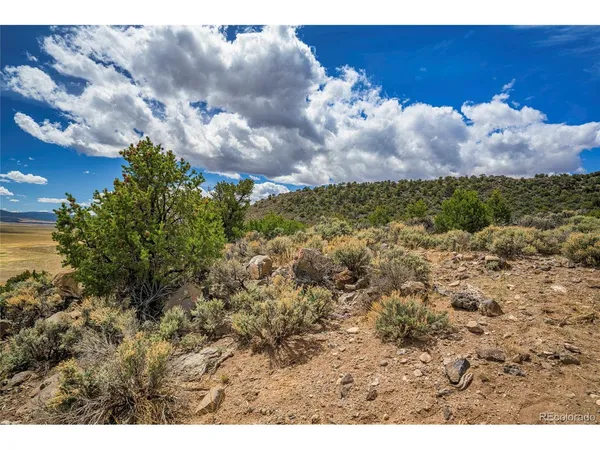 a view of an ocean and beach
