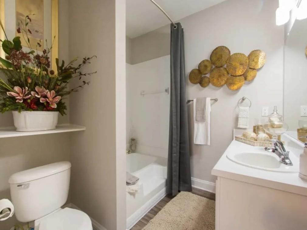 100 Crossing Boulevard, Unit 1518 McDonough, GA 30253 - Photo 10 of 26 a bathroom with a sink mirror and toilet