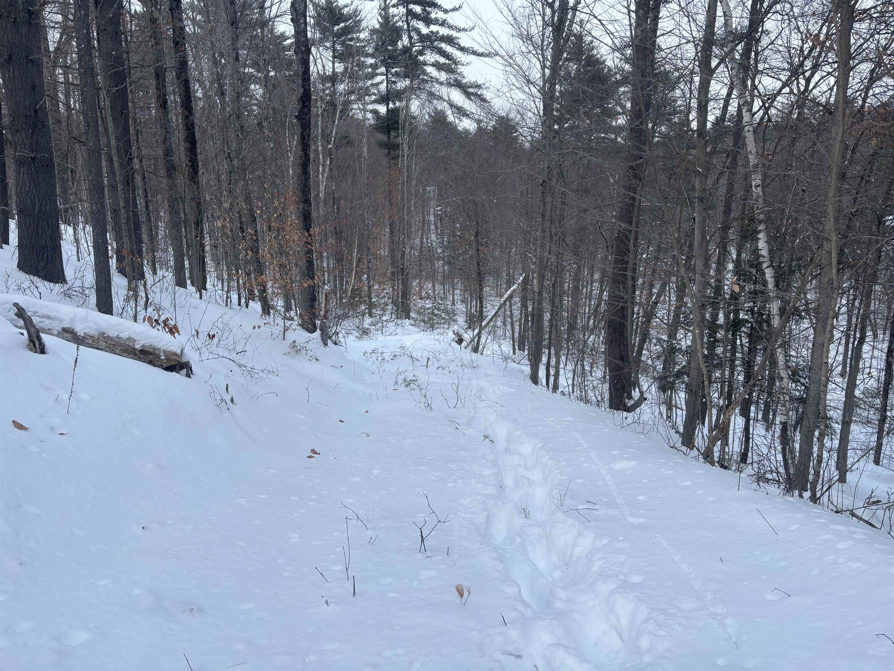 4 Pine Hill Road Wolfeboro, NH 03894 - Photo 3 of 7