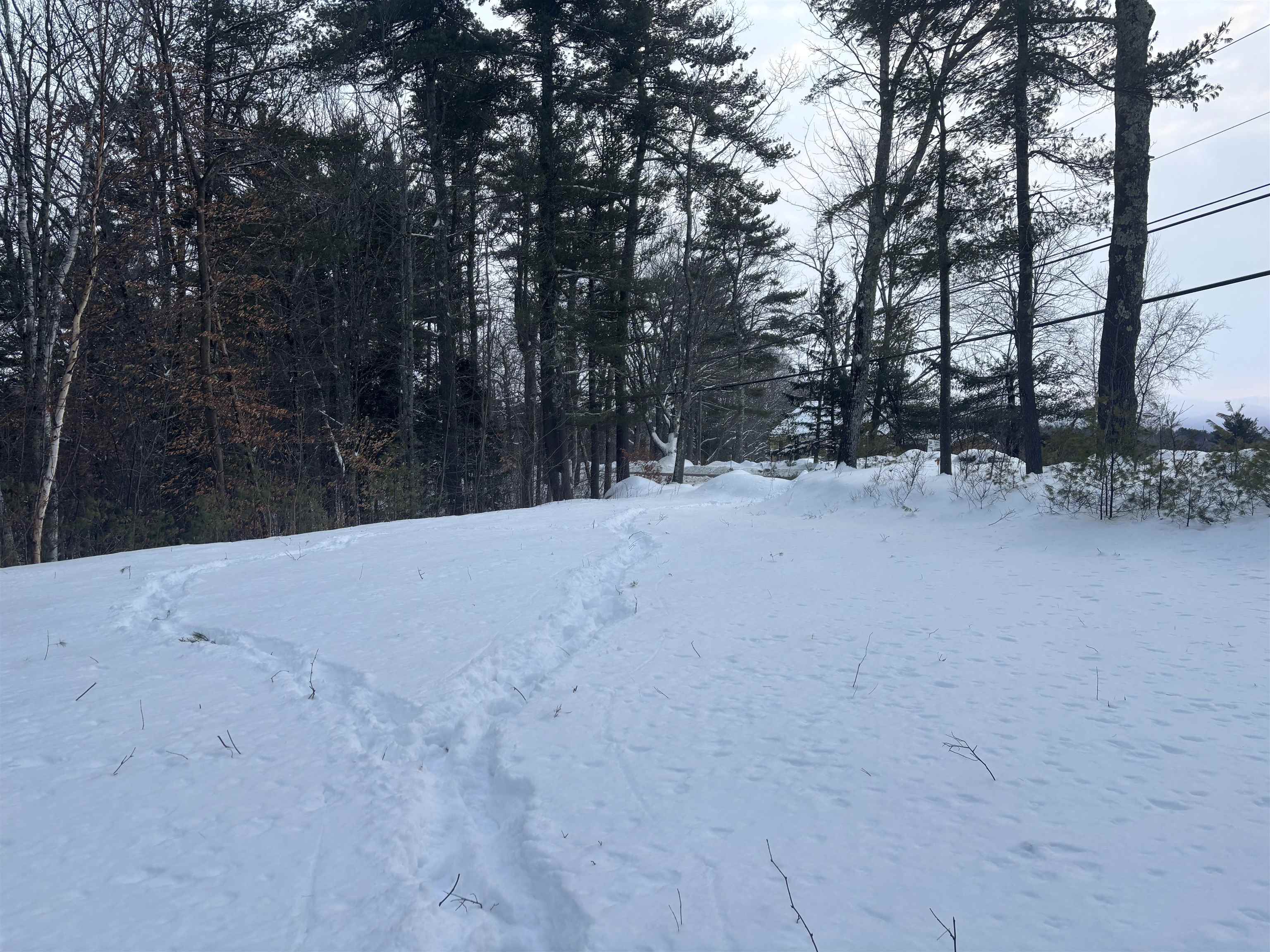 4 Pine Hill Road Wolfeboro, NH 03894 - Photo 4 of 7