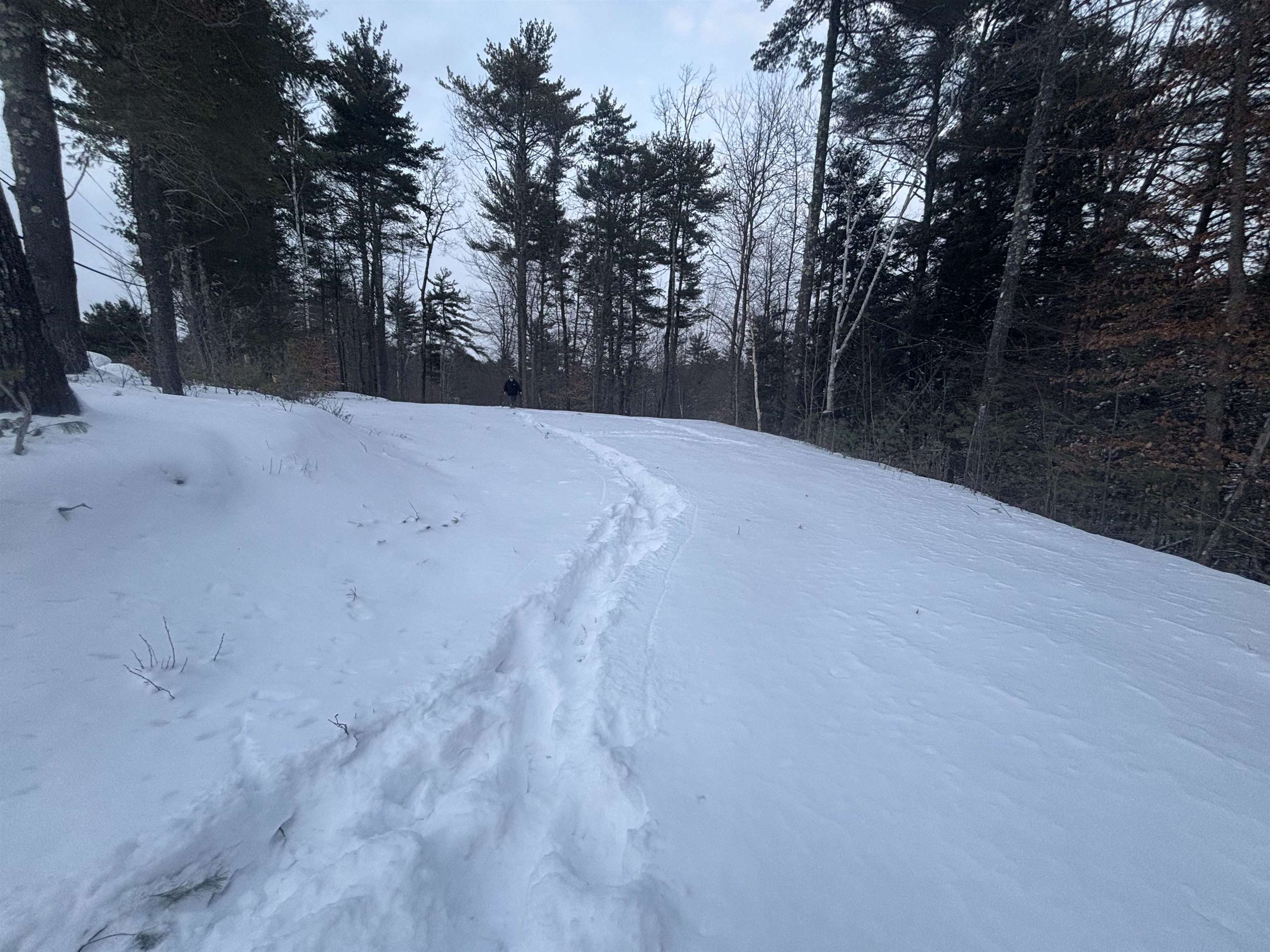 4 Pine Hill Road Wolfeboro, NH 03894 - Photo 6 of 7