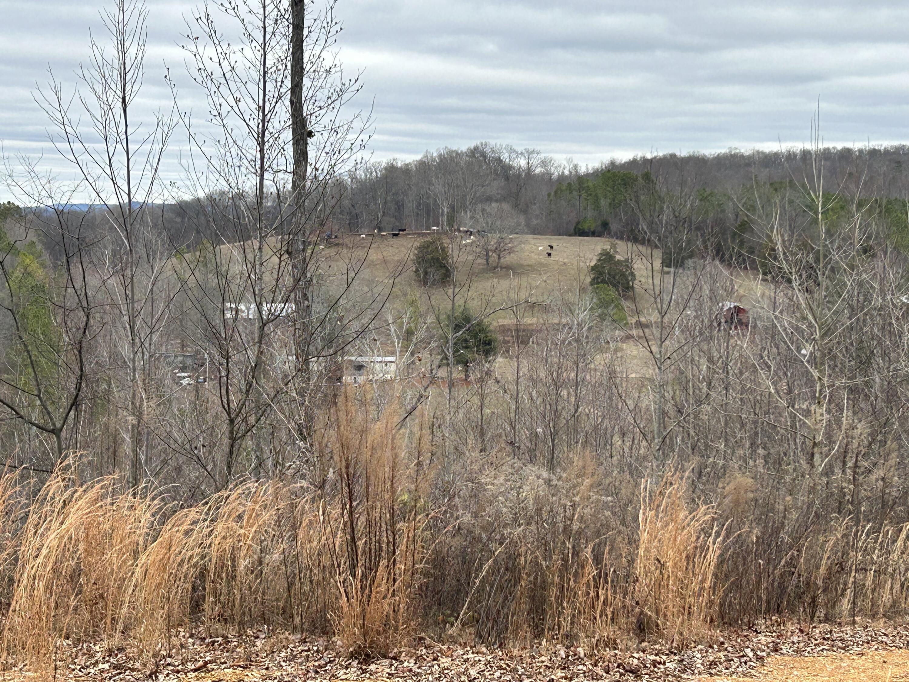 0 East Emerson Road Cohutta, GA 30710 - Photo 6 of 19 IMG_1099