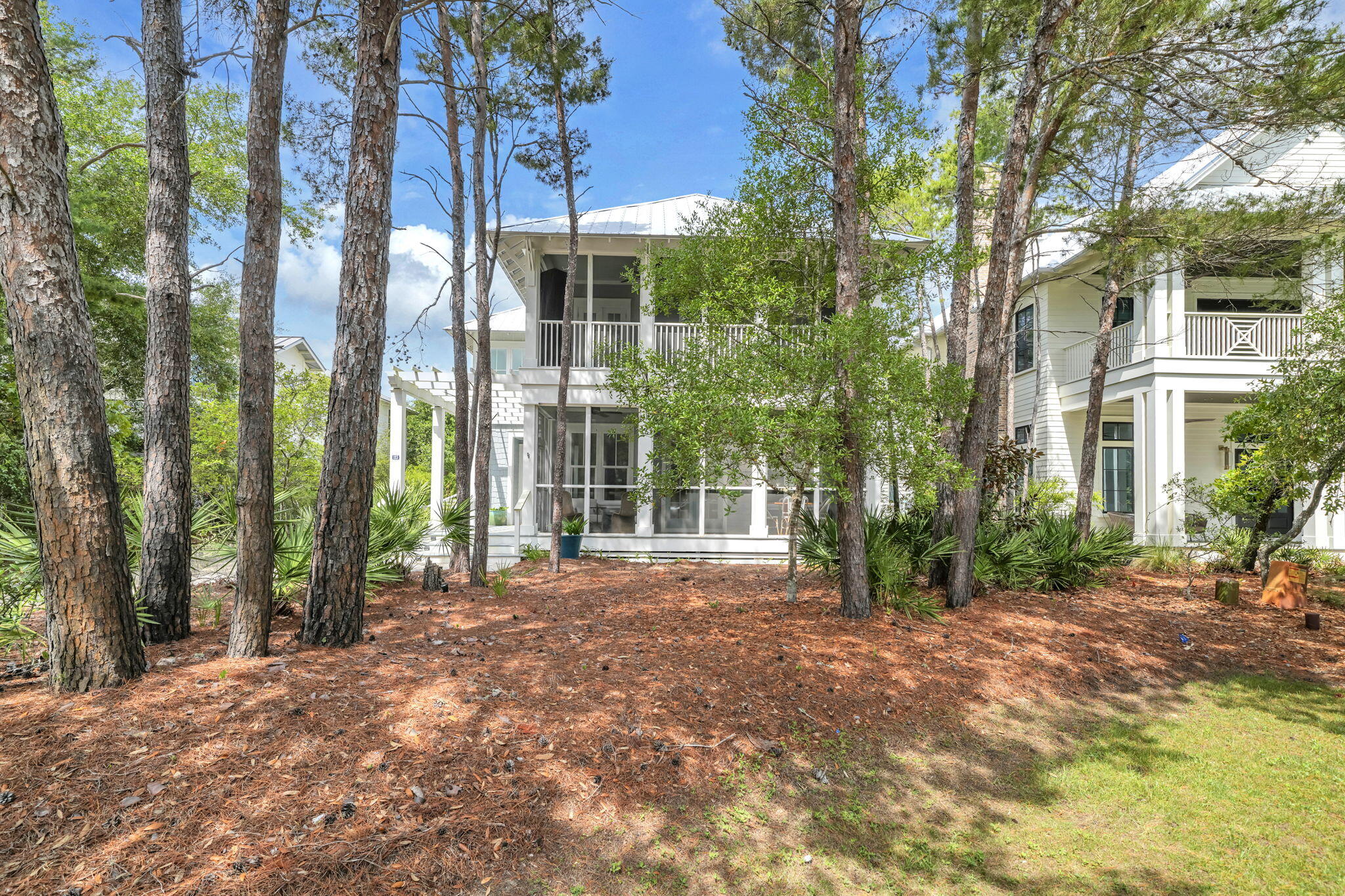 123 Chance Lane Inlet Beach, FL 32461 - Photo 56 of 98 3-web-or-mls-DSC07102